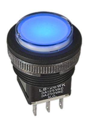 Picture of LB25SKG01-CF-B
