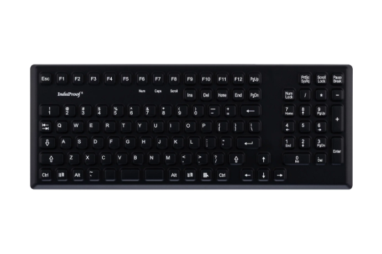 Picture of KG02435