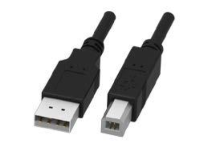 Picture of CA-USB-AM-BM-10FT